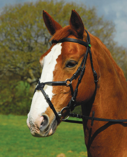 Saddlery