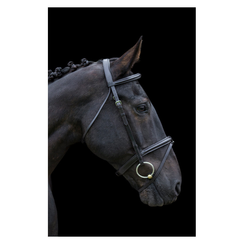 Classic Comfort Bridle Highgate Horseware