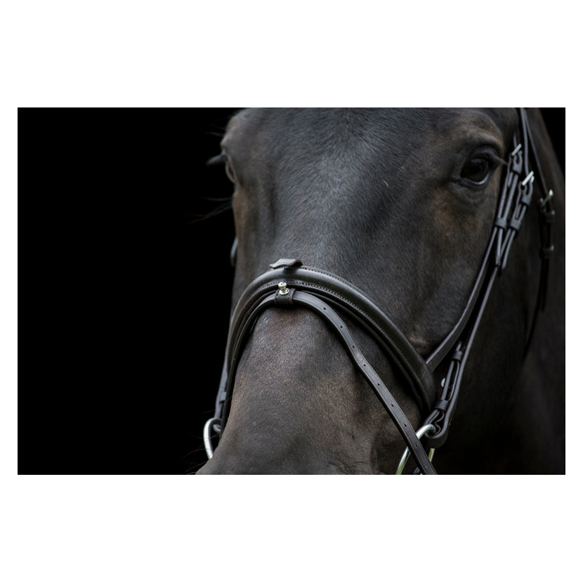 Classic Comfort Bridle Highgate Horseware