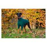 Cosy Fleece Dog Jumper