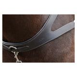 Freedom Breastplate