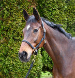 Rhinegold Lazio Plaited Leather Headcollar With Matching Leather Lead