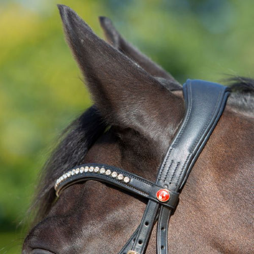 Kieffer Ultrasoft 'Sue' Bridle Highgate Horseware