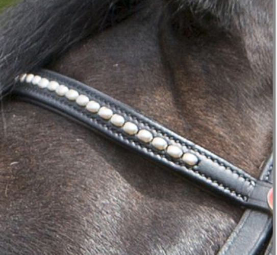 Kieffer Ultrasoft 'Tara' Bridle Highgate Horseware