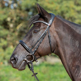 Kieffer Ultrasoft 'Sue' Bridle