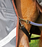 Buster 150g Turnout Rug with Classic Neck Cover