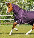 Buster 70g Turnout Rug with Classic Neck Cover