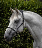 Hennaroso Rolled Anatomic Leather Headcollar