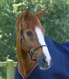 Hennaroso Rolled Anatomic Leather Headcollar