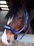 Elite Comfort Headcollar & Leadrope
