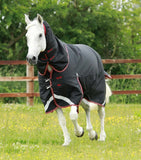 Titan 100g Turnout Rug with Snug Fit Neck Cover
