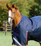 Titan 100g Turnout Rug with Snug Fit Neck Cover