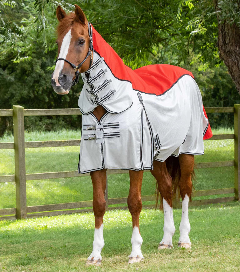 ShowerTex Fly Rug with Surcingles Highgate Horseware