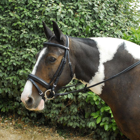 Windsor Leather ‘Comfort’ Bridle With Crank Style Flash Noseband
