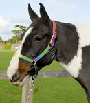 Rhinegold Rainbow Headcollar And Lead Rope Set