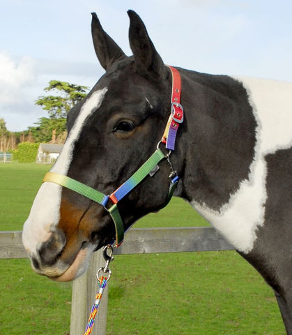 Rhinegold Rainbow Headcollar And Lead Rope Set