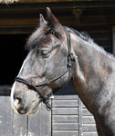 Rope Halter