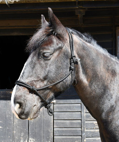 Rope Halter