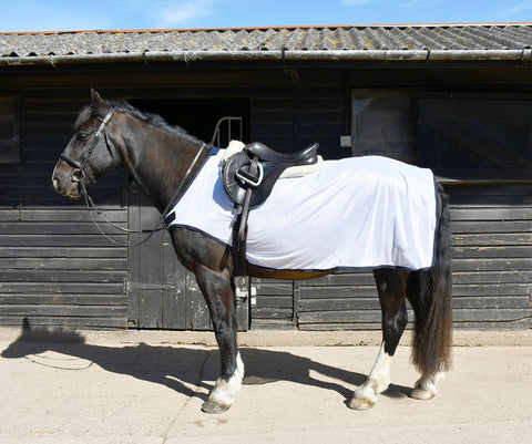 Rhinegold Fixed Chest Mesh Ride-On Rug