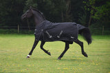 Torrent Turnout Rug