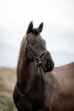 EasyStride Bridle With Reins