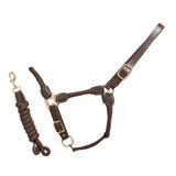 Rope Leather Headcollar and Leadrope