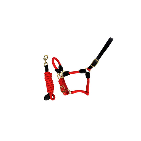 Rope Leather Headcollar and Leadrope