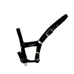 Foal Headcollar