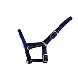 Foal Headcollar