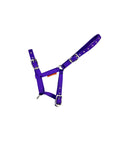 Foal Headcollar