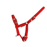 Foal Headcollar