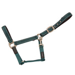 Safety Headcollar