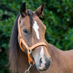 Safety Headcollar