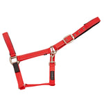Safety Headcollar