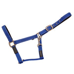 Safety Headcollar