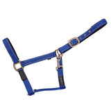 Safety Headcollar