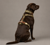 Titan K9® – The Alpine Collection Set