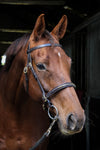 Classic Inhand Bridle