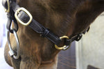 Classic Inhand Bridle