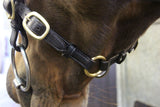 Classic Inhand Bridle