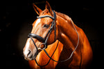 Ultra Comfort Navan v2.0 Bridle