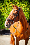 Ultra Comfort Kilkenny Bridle v2.0