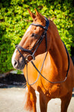 Ultra Comfort Kilkenny Bridle v2.0