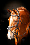 Ultra Comfort Galway V2 Grackle Bridle