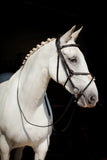 Ultra Comfort Galway V2 Grackle Bridle