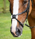 Glorioso Mexican Grackle Noseband