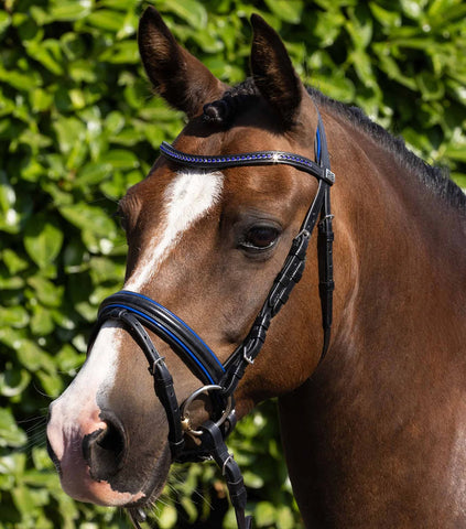 Mineo Pony Snaffle Bridle - Black