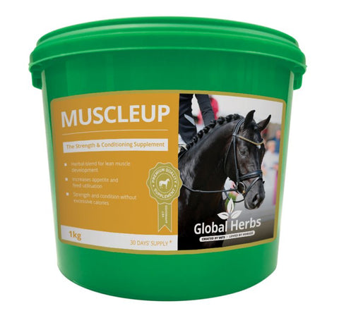 Global Herbs Muscle Up-1kg Tub