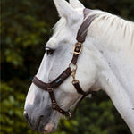 Anatomic Headcollar