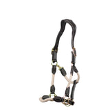 Anatomic Leather Headcollar